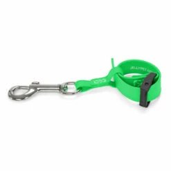 Jelly Pet Safety Tether- Lime Green