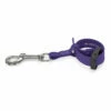 Jelly Pet Safety Tether- Purple