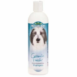Bio-Groom Groom 'N Fresh Shampoo-12oz