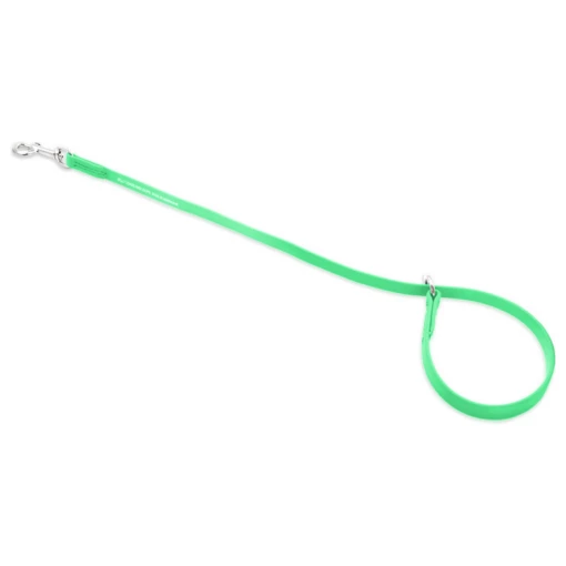 Jelly Pet Grooming Loop Slip Style 3/8 X 25" Lime Green -ARTERO Shop Screenshot2023 10 20120921