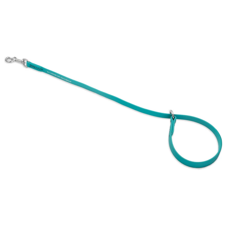 Jelly Pet Grooming Loop Slip Style 3/8 X 25" Teal 3 Jelly Pet Grooming Loop Slip Style 3/8 X 25" Teal