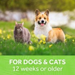 Tropiclean Baby Powder Deodorizing Pet Spray-8oz -ARTERO Shop lznladd5x1lwob76okhv 94c4e4f8 481d 43f0 8d8e 066645f3757b