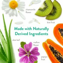 Tropiclean Aloe & Coconut Deodorizing Shampoo For Pets- Gallon -ARTERO Shop stjjj0sceiot2tjskifq